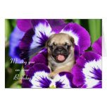 Pug puppy in pansies greeting cards