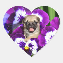 Pug puppy in pansies heart stickers