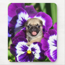 Pug puppy in pansies mouse pad