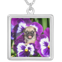 Pug puppy in pansies necklace
