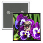 Pug puppy in pansies pinback button
