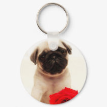 Pug puppy keychain