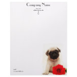 Pug puppy Letterhead