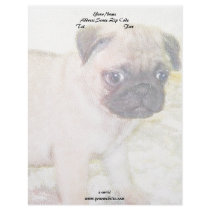 Pug Puppy Letterhead Template