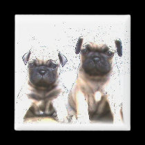 Pug puppy magnet magnets