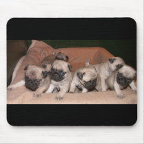 pug puppy mousepads by denvercris pug puppy mousepads