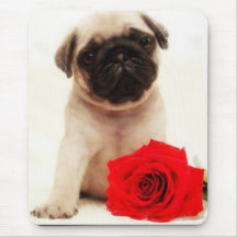 Pug puppy mousepad