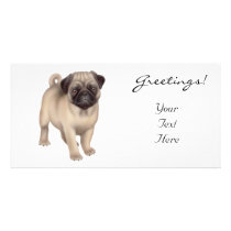 Pug Puppy Photo Card photo cards by twopurringcats Pug Puppy Photo Card photo cards