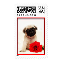 Pug puppy postage