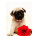 Pug puppy poster posters by ritmoboxer Pug puppy poster posters