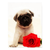 Pug puppy poster posters by ritmoboxer Pug puppy poster posters