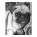 Pug Puppy posters by MrCubPDX Pug Puppy posters