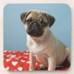 Pug puppy sitting on bed coasters