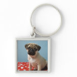 Pug puppy sitting on bed key chain