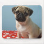 Pug puppy sitting on bed mousepads