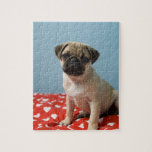 Pug puppy sitting on bed jigsaw puzzles