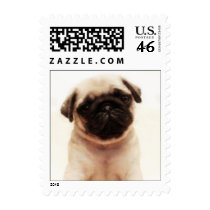 Pug puppy small stamps