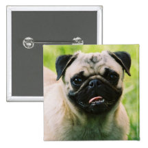 Pug Puppy Square Pin