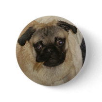 Pug Puppy: Throw Me a Bone! buttons by WowNerd Pug Puppy: Throw Me a Bone! buttons