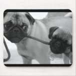 Pug Puppy Tug of War Mouse Pad