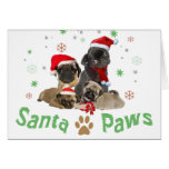 Pug Santa Paws Greeting Cards