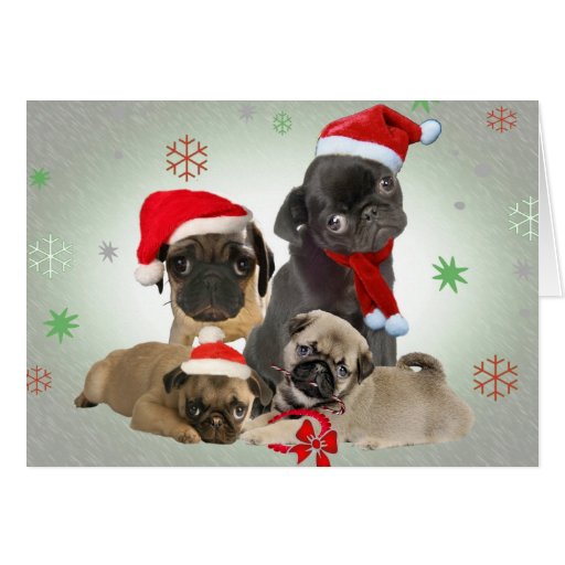 NEW Pugs Christmas Choir Fawn Black Santa Dogs Holiday Blank Note Cards Set Of 8 