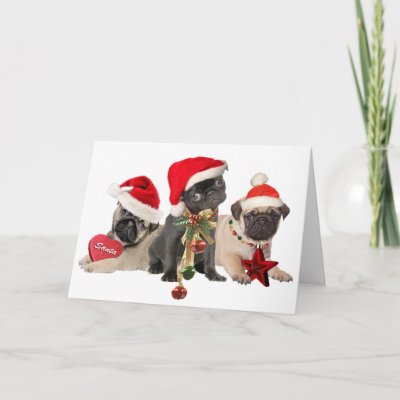 Pug Santa