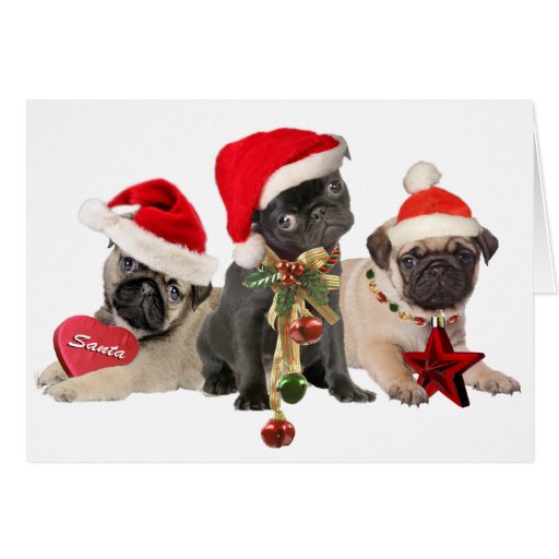 pug santa paws card