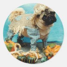 Pug Scarecrow Stickers