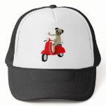 Pug Scooter hats