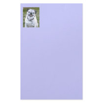 Pug Small Dog Stationery