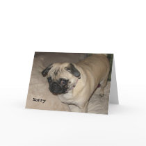 Pug - Sorry cards by cuteface1111 Pug - Sorry cards