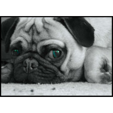 Pug Stamp 