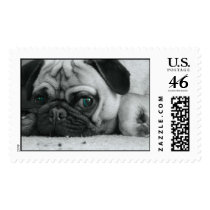 Pug Stamp "Breena"