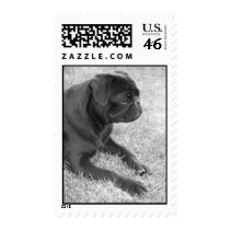 Pug Stamp