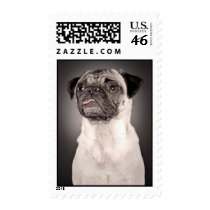Pug Standing Up and Attentive with Tongue Out Stamp