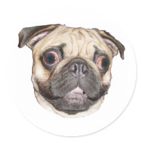 Pug stickers