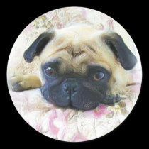 Pug stickers stickers