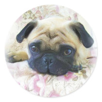 Pug stickers