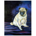 Pug Tee Shirt