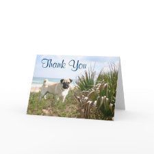 Pug Thank You Card Beachgrass card