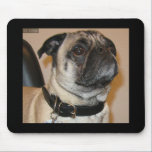 Pug Therapy Dog Mousepad
