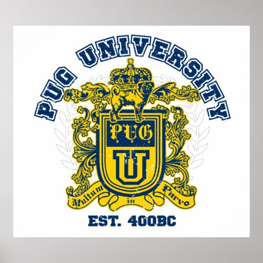 Pug University Blue and Gold Poster