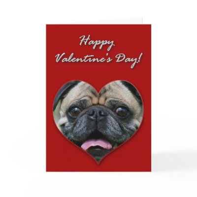 Pug Valentines Day
