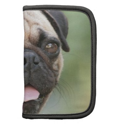 pug wallet