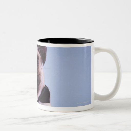 pug coffee mugs pug wearing bow tie up two tone coffee mug zazzle pug coffee mugs pug wearing bow tie up two tone coffee mug zazzle