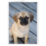 Puggle Card