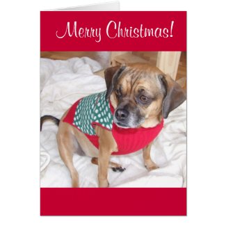 Puggle Christmas Card