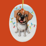 puggle, pug, beagle, mix, christmas, lights, tree,