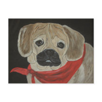 Puggle  Dog Postcard